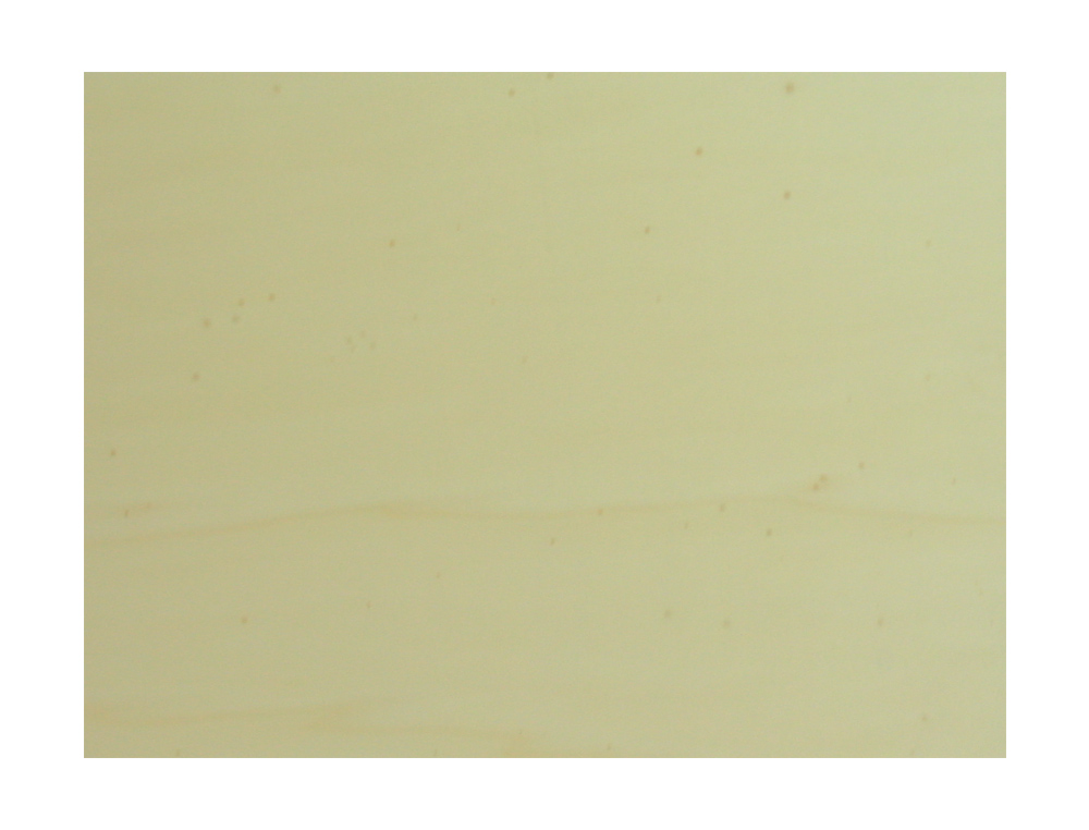 TABLA DE MARQUETERIA 40X60 CM